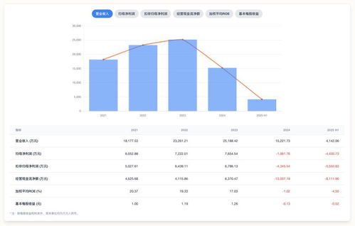 中創股份上市前后業績大反轉 高增長神話難持續，應用軟件服務行業隱憂何解？